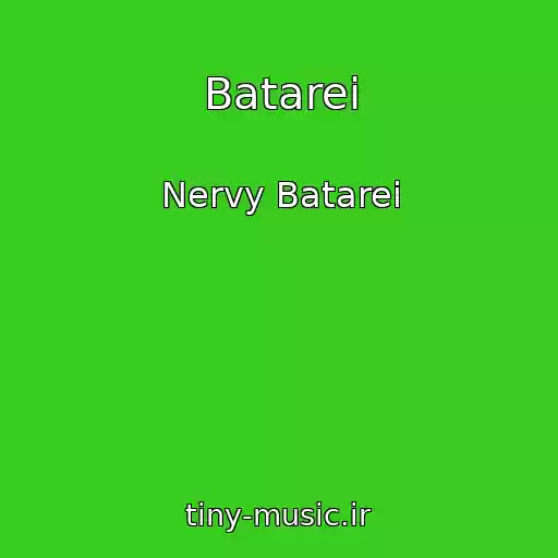 کاور آهنگ Batarei از Nervy Batarei