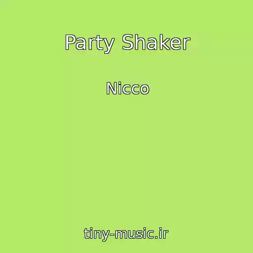 کاور آهنگ Party Shaker از Nicco