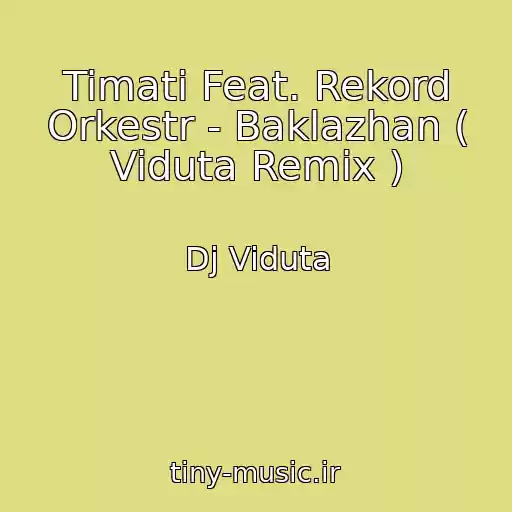 کاور آهنگ Timati Feat. Rekord Orkestr - Baklazhan ( Viduta Remix ) از Dj Viduta