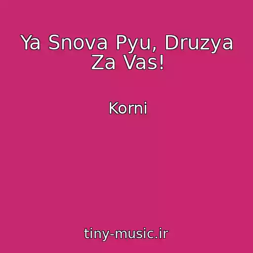 کاور آهنگ Ya Snova Pyu, Druzya Za Vas! از Korni