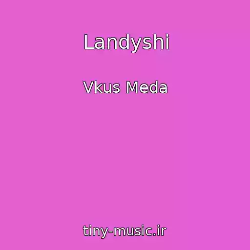 کاور آهنگ Landyshi از Vkus Meda
