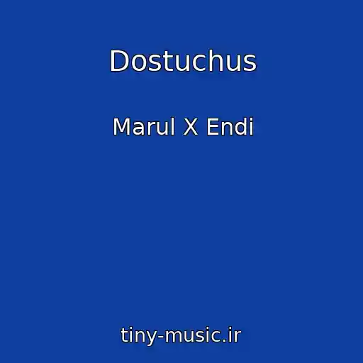 کاور آهنگ Dostuchus از Marul X Endi