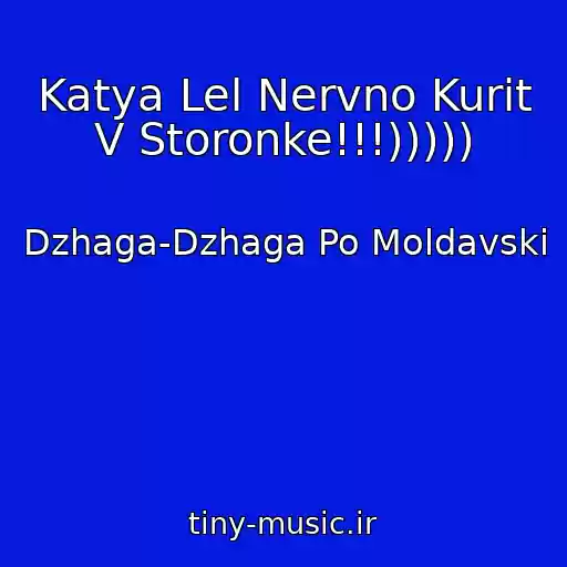 کاور آهنگ Katya Lel Nervno Kurit V Storonke!!!))))) از Dzhaga-Dzhaga Po Moldavski