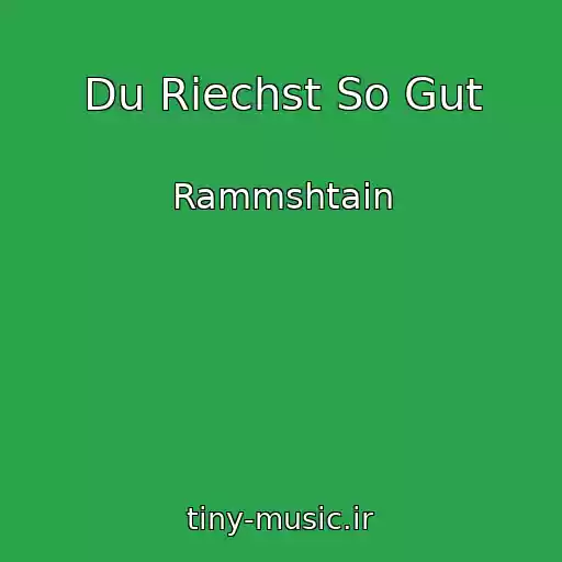 کاور آهنگ Du Riechst So Gut از Rammshtain