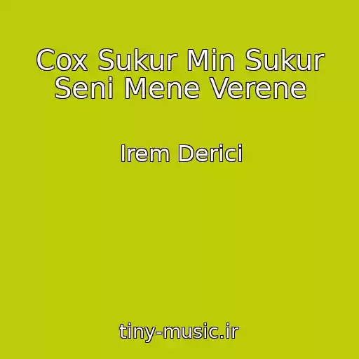 کاور آهنگ Cox Sukur Min Sukur Seni Mene Verene از Irem Derici