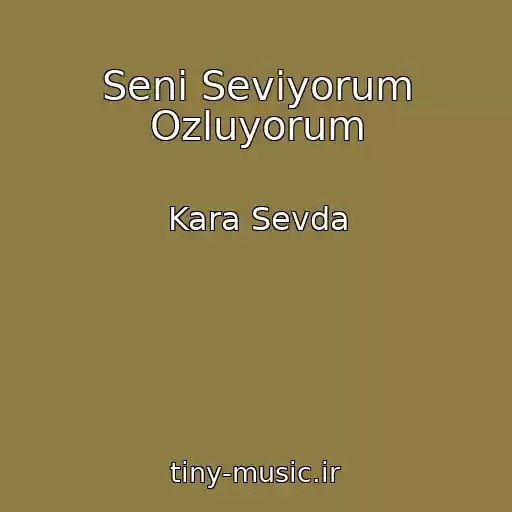 کاور آهنگ Seni Seviyorum Ozluyorum از Kara Sevda