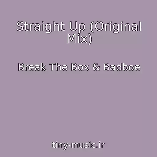 کاور آهنگ Straight Up (Original Mix) از Break The Box & Badboe