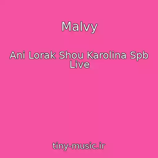 کاور آهنگ Malvy از Ani Lorak Shou Karolina Spb Live