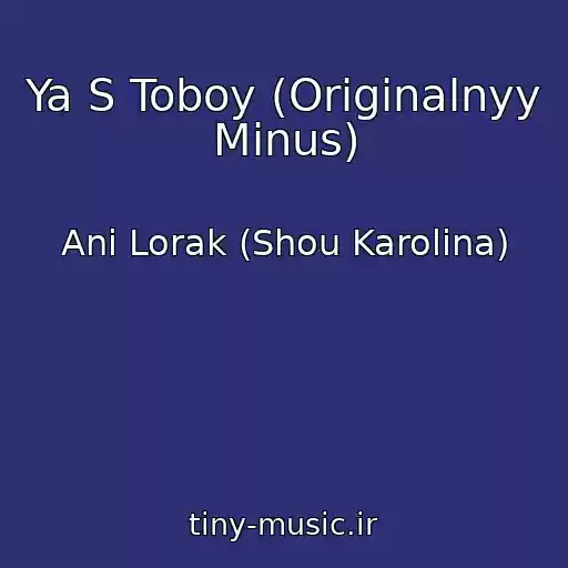 کاور آهنگ Ya S Toboy (Originalnyy Minus) از Ani Lorak (Shou Karolina)