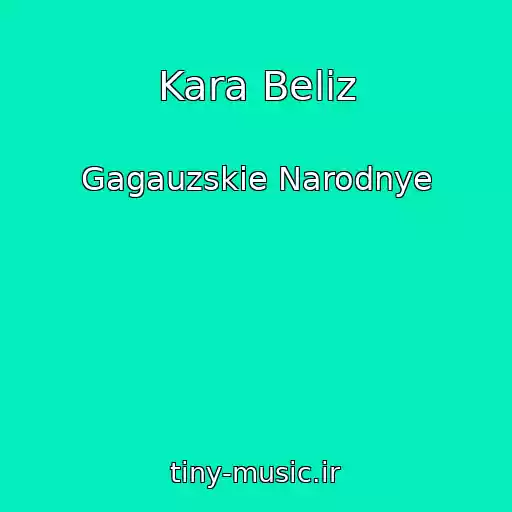 کاور آهنگ Kara Beliz از Gagauzskie Narodnye