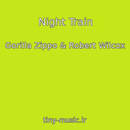 کاور آهنگ Night Train از Gorilla Zippo & Robert Wilcox