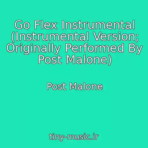 کاور آهنگ Go Flex Instrumental (Instrumental Version; Originally Performed By Post Malone) از Post Malone