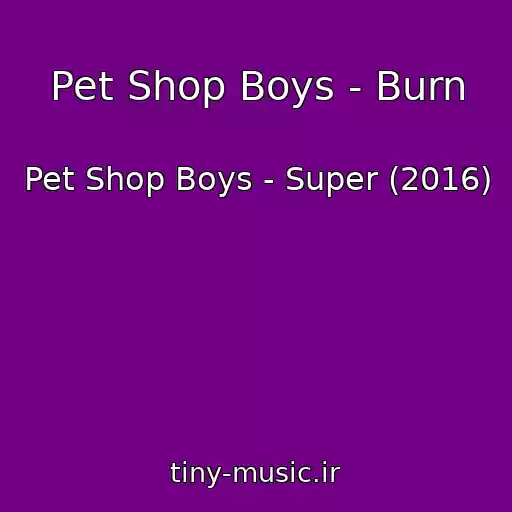 کاور آهنگ Pet Shop Boys - Burn از Pet Shop Boys - Super (2016)