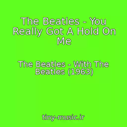 کاور آهنگ The Beatles - You Really Got A Hold On Me از The Beatles - With The Beatles (1963)