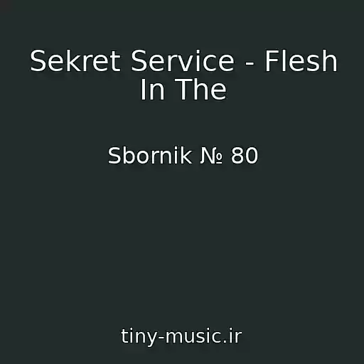 کاور آهنگ Sekret Service - Flesh In The از Sbornik № 80