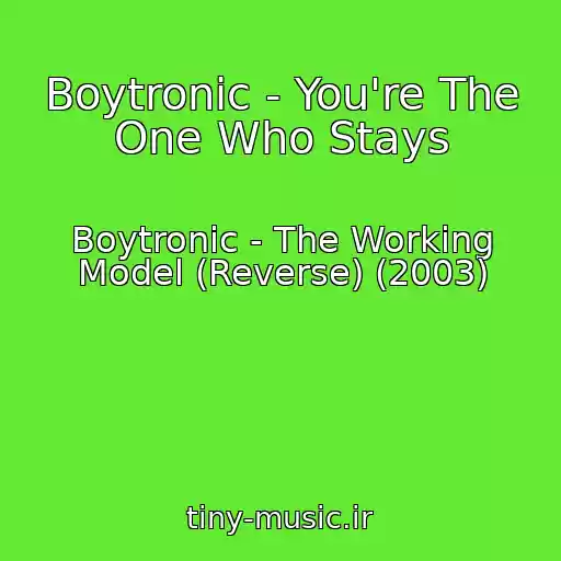 کاور آهنگ Boytronic - You're The One Who Stays از Boytronic - The Working Model (Reverse) (2003)