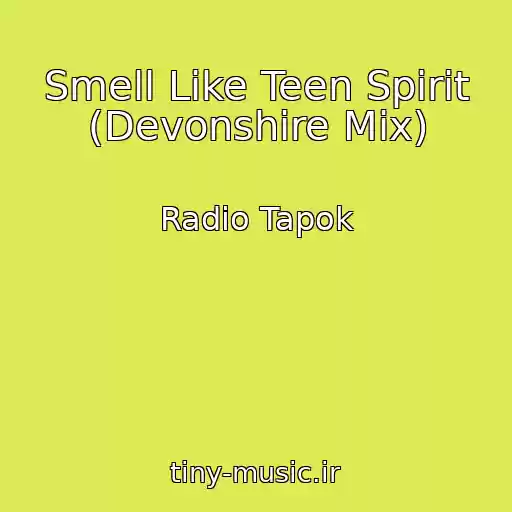 کاور آهنگ Smell Like Teen Spirit (Devonshire Mix) از Radio Tapok