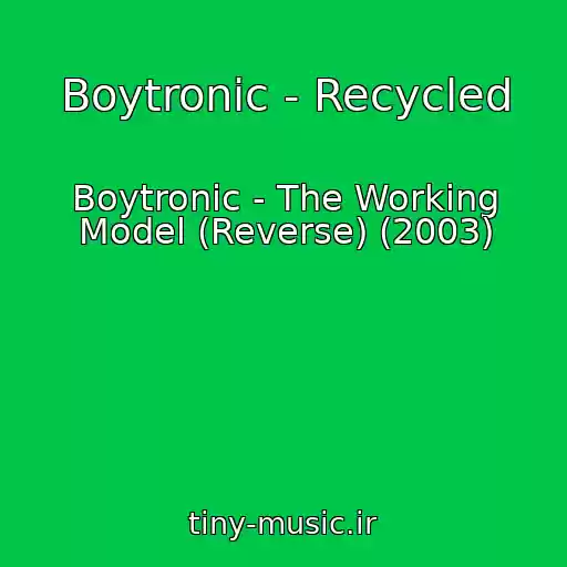 کاور آهنگ Boytronic - Recycled از Boytronic - The Working Model (Reverse) (2003)