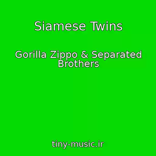 کاور آهنگ Siamese Twins از Gorilla Zippo & Separated Brothers