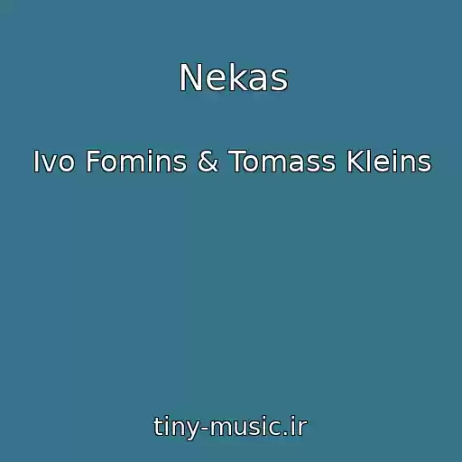 کاور آهنگ Nekas از Ivo Fomins & Tomass Kleins