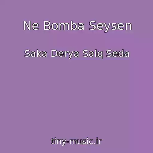 کاور آهنگ Ne Bomba Seysen از Saka Derya Saiq Seda