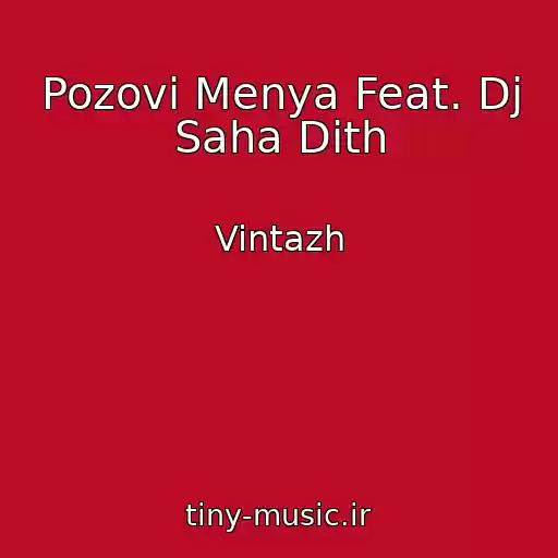 کاور آهنگ Pozovi Menya Feat. Dj Saha Dith از Vintazh