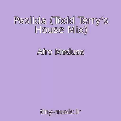 کاور آهنگ Pasilda (Todd Terry's House Mix) از Afro Medusa