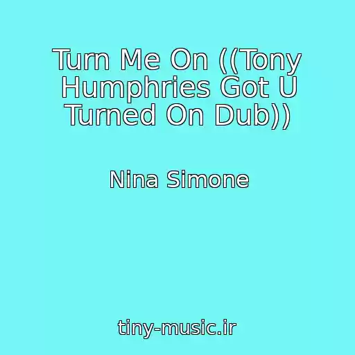 کاور آهنگ Turn Me On ((Tony Humphries Got U Turned On Dub)) از Nina Simone