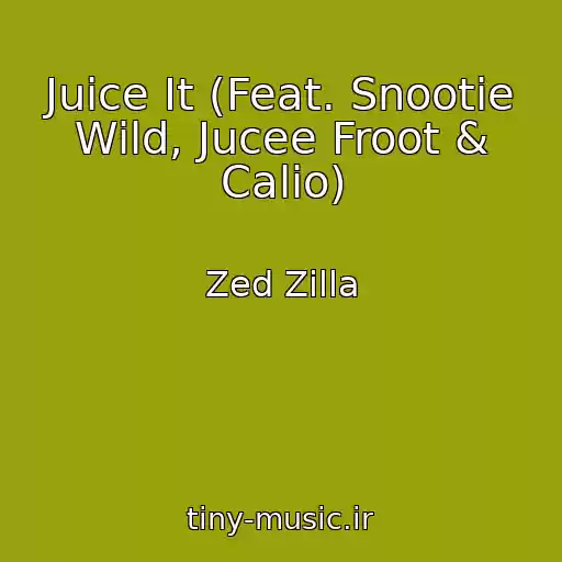 کاور آهنگ Juice It (Feat. Snootie Wild, Jucee Froot & Calio) از Zed Zilla