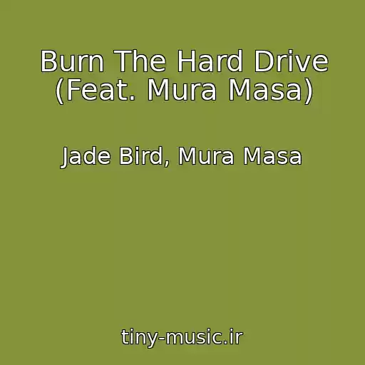 کاور آهنگ Burn The Hard Drive (Feat. Mura Masa) از Jade Bird, Mura Masa