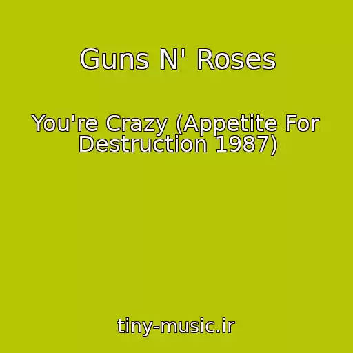 کاور آهنگ Guns N' Roses از You're Crazy (Appetite For Destruction 1987)