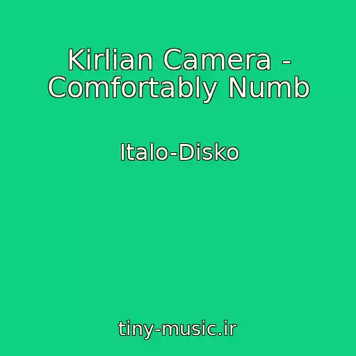 کاور آهنگ Kirlian Camera - Comfortably Numb از Italo-Disko
