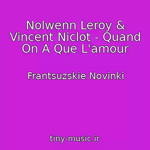 کاور آهنگ Nolwenn Leroy & Vincent Niclot - Quand On A Que L'amour از Frantsuzskie Novinki