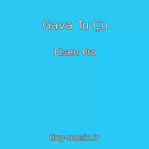 کاور آهنگ Gava Tu Çu از Elsen Pro