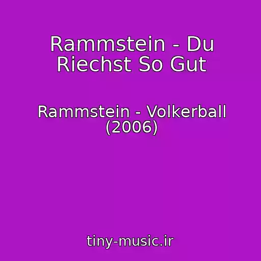 کاور آهنگ Rammstein - Du Riechst So Gut از Rammstein - Volkerball (2006)