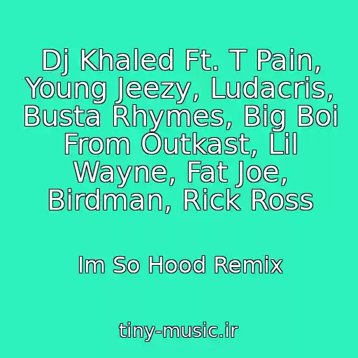 کاور آهنگ Dj Khaled Ft. T Pain, Young Jeezy, Ludacris, Busta Rhymes, Big Boi From Outkast, Lil Wayne, Fat Joe, Birdman, Rick Ross از Im So Hood Remix
