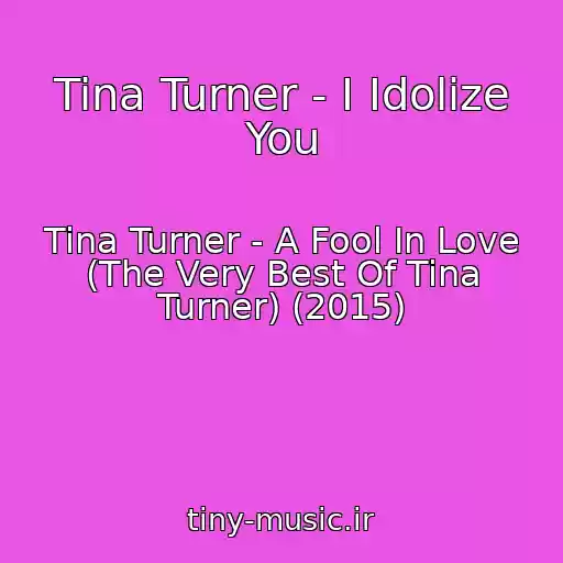 کاور آهنگ Tina Turner - I Idolize You از Tina Turner - A Fool In Love (The Very Best Of Tina Turner) (2015)