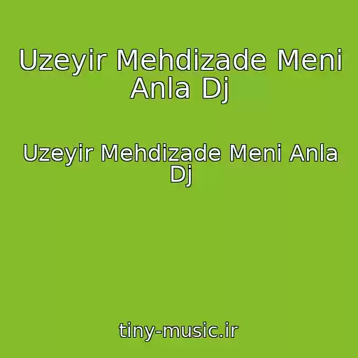 کاور آهنگ Uzeyir Mehdizade Meni Anla Dj از Uzeyir Mehdizade Meni Anla Dj