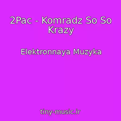 کاور آهنگ 2Pac - Komradz So So Krazy از Elektronnaya Muzyka