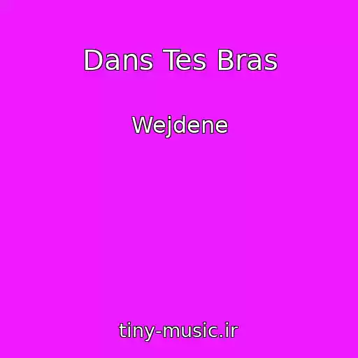 کاور آهنگ Dans Tes Bras از Wejdene