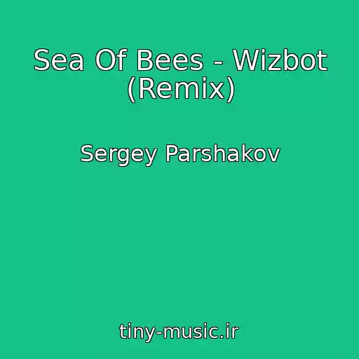 کاور آهنگ Sea Of Bees - Wizbot (Remix) از Sergey Parshakov