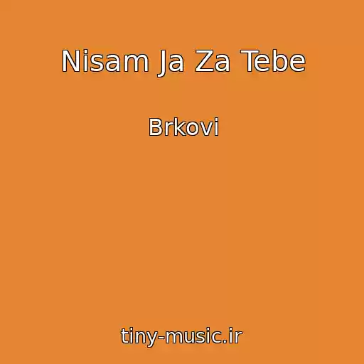کاور آهنگ Nisam Ja Za Tebe از Brkovi
