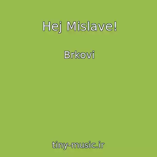 کاور آهنگ Hej Mislave! از Brkovi