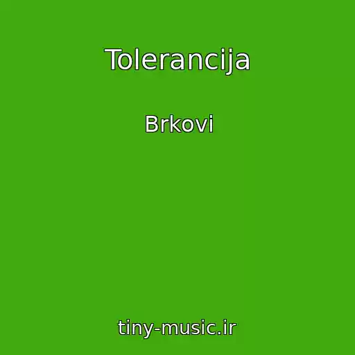 کاور آهنگ Tolerancija از Brkovi
