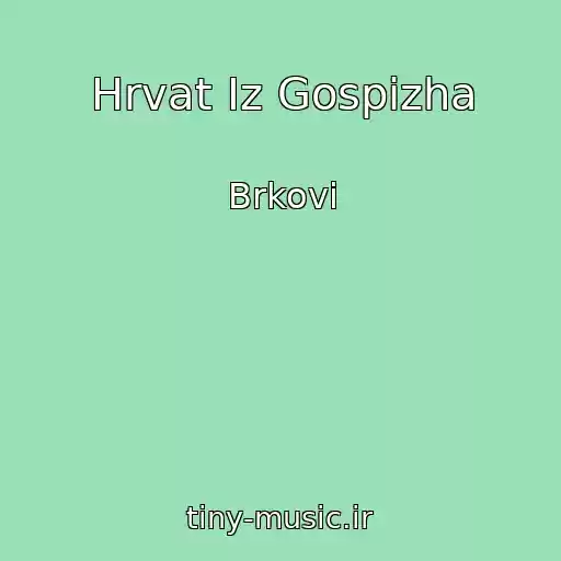 کاور آهنگ Hrvat Iz Gospizha از Brkovi