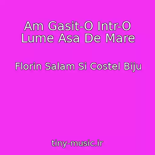 کاور آهنگ Am Gasit-O Intr-O Lume Asa De Mare از Florin Salam Si Costel Biju