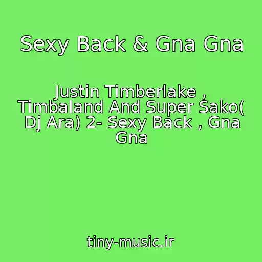 کاور آهنگ Sexy Back & Gna Gna از Justin Timberlake , Timbaland And Super Sako( Dj Ara) 2- Sexy Back , Gna Gna