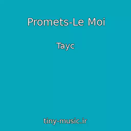 کاور آهنگ Promets-Le Moi از Tayc