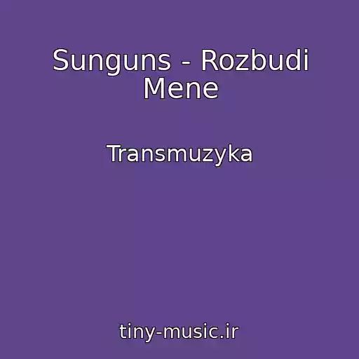 کاور آهنگ Sunguns - Rozbudi Mene از Transmuzyka