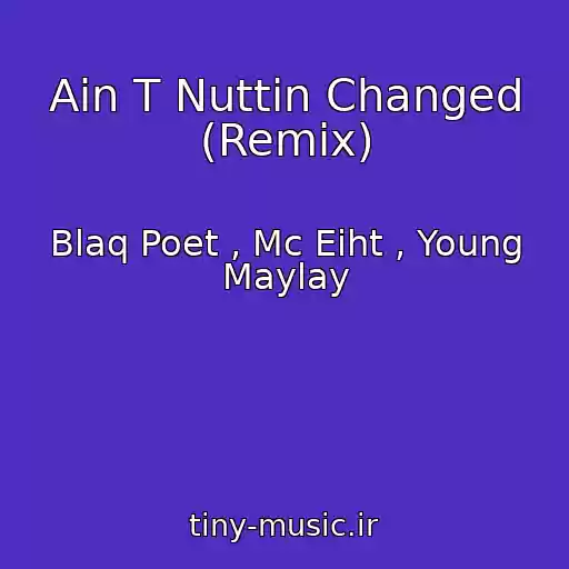 کاور آهنگ Ain T Nuttin Changed (Remix) از Blaq Poet , Mc Eiht , Young Maylay